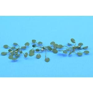 JTT95538 O Lily Pads 1-1/2”/9pk