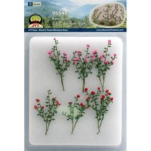 JTT95540  O Rose Bushes 2-1/2
