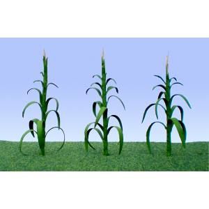 JTT95553 O Corn Stalks - 2
