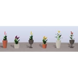 JTT95572 Potted Flower Assortment #4