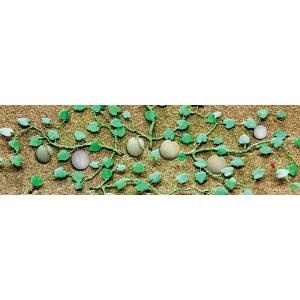 JTT95574 O-Scale Cantaloupe Patch/4 Pack