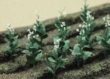 JTT95587 O Tobacco Plants/10pk