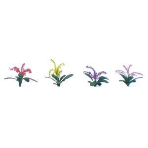 JTT95508  O Petunias 3/4