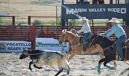 McCammon Marsh Valley Rodeo