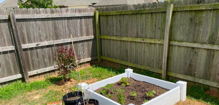 fence power washing before