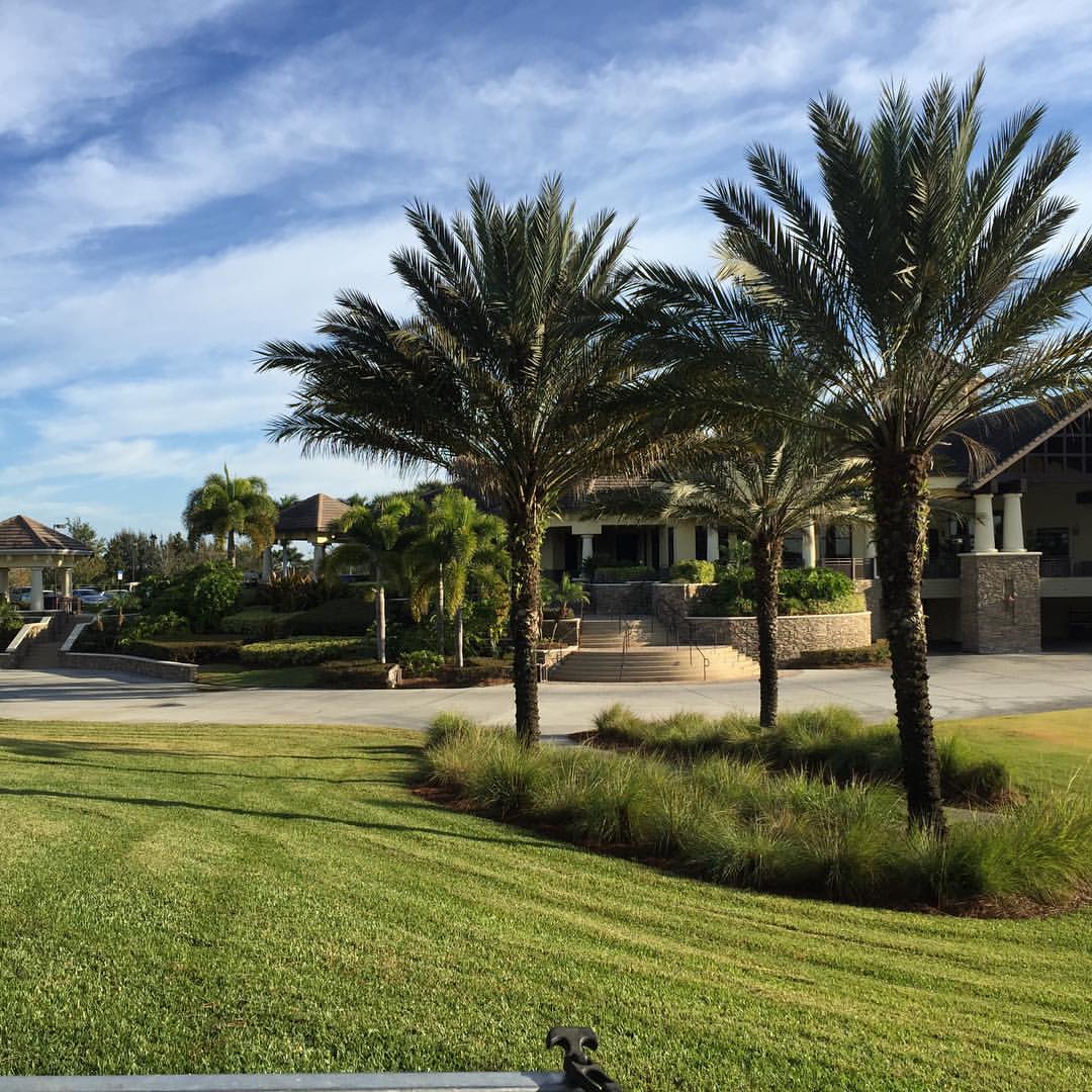 commercial yard care