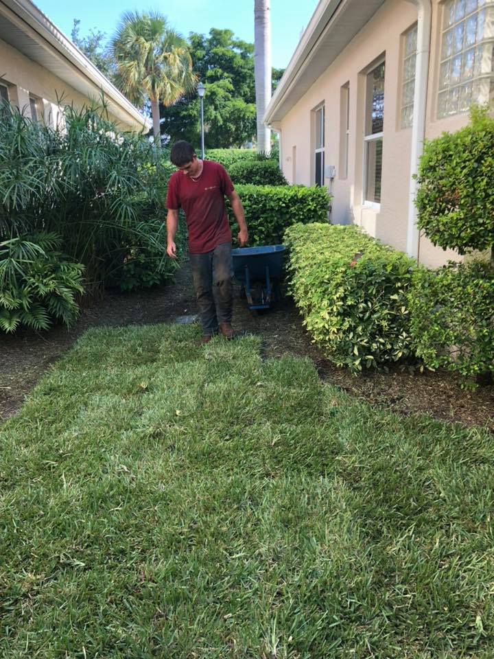 Sod Installation