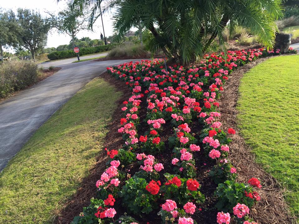 Plant Landscape Design