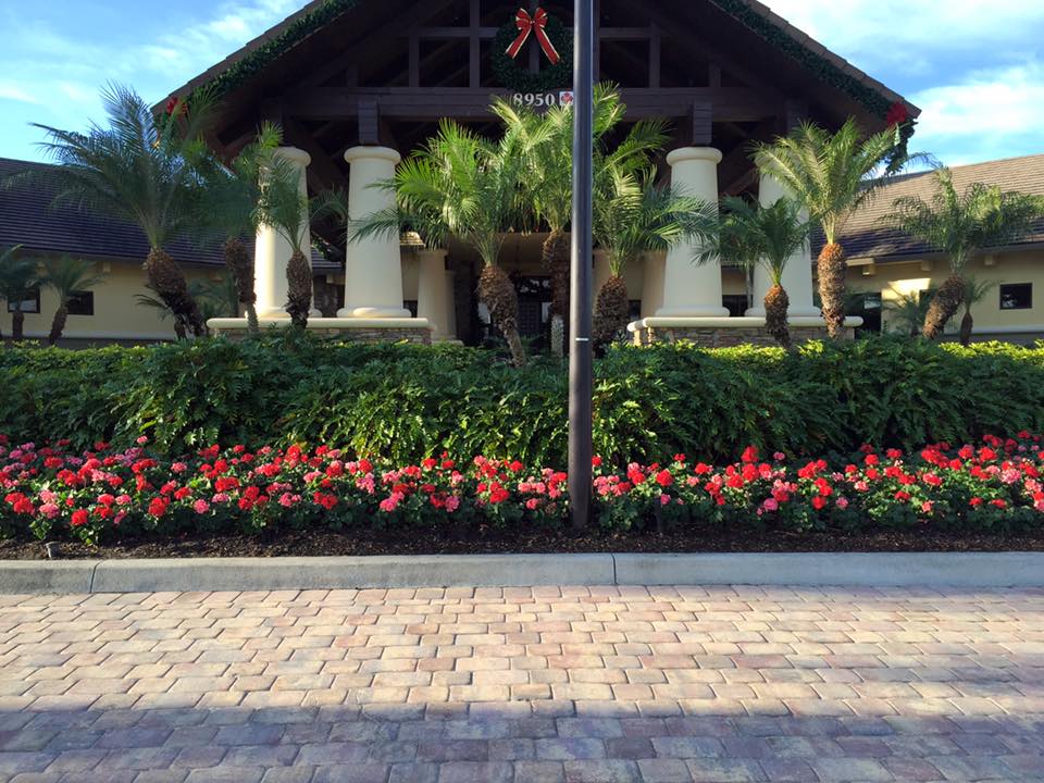 Commercial Landscaping