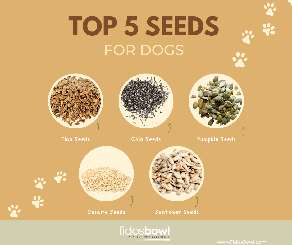 a poster showing the top 5 seeds for dogs