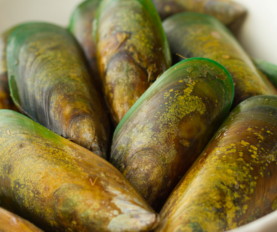 Green Lipped Mussels: Natural Joint Support for Dogs