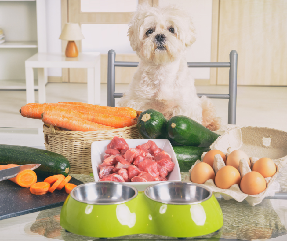 Importance of Nutritional Requirements in Homemade Dog Diets