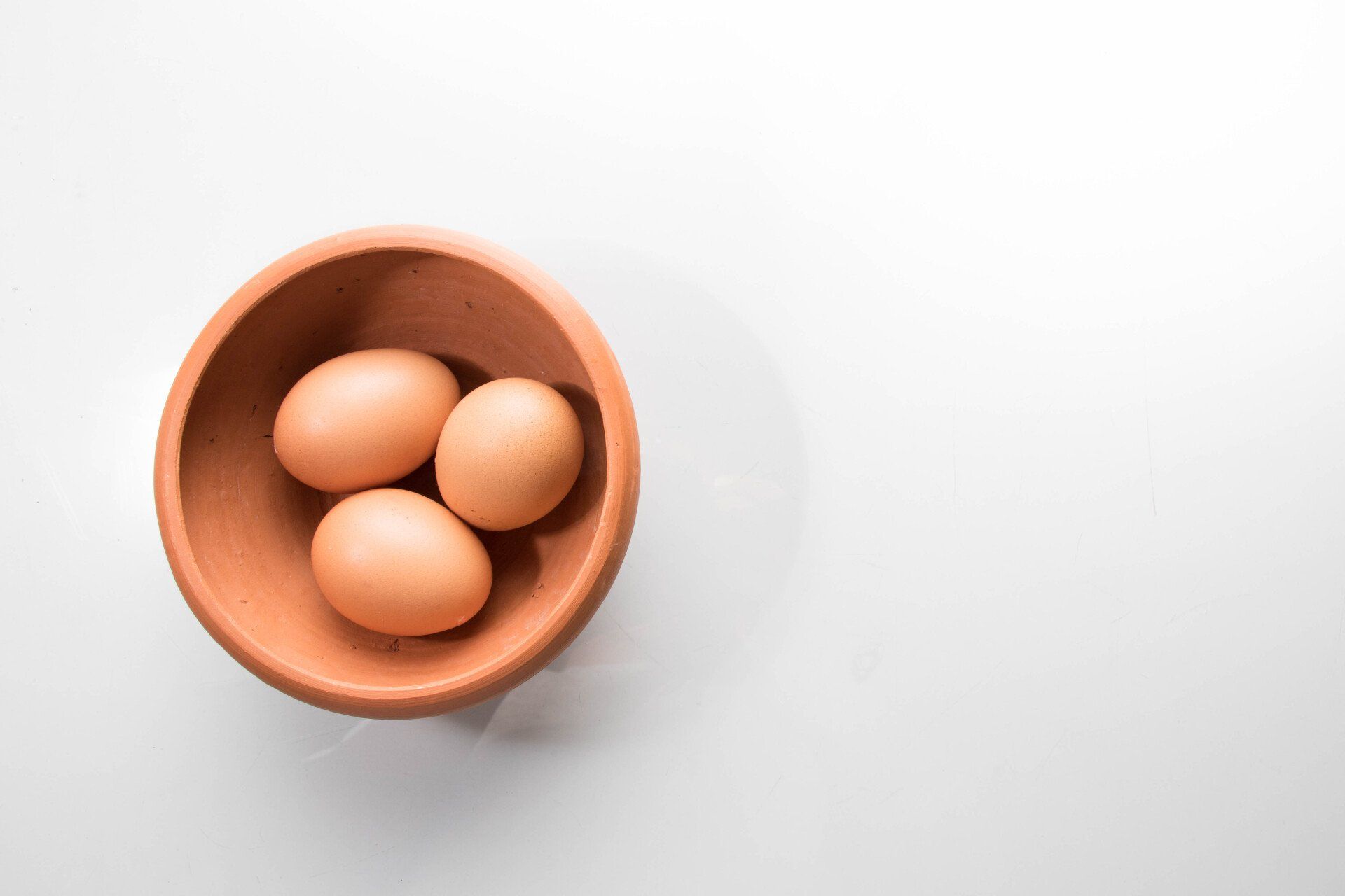 DIY Eggshell Calcium Supplement: Homemade Dog Food