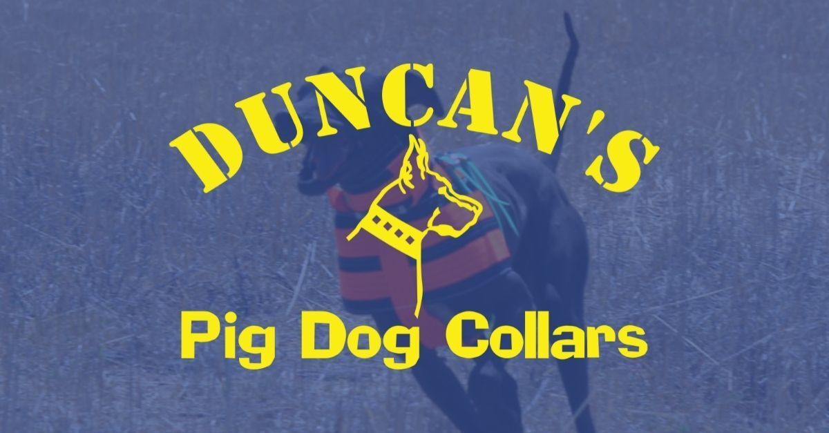 (c) Duncanspigdogcollars.com.au