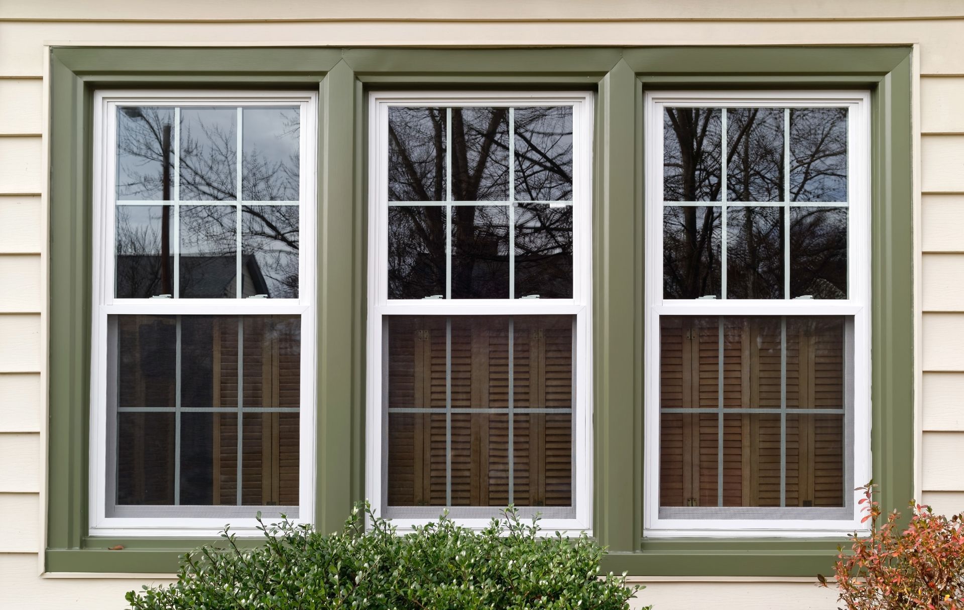 Three white-framed windows with green trim on a cream-colored house, reflecting trees; a small bush is below.