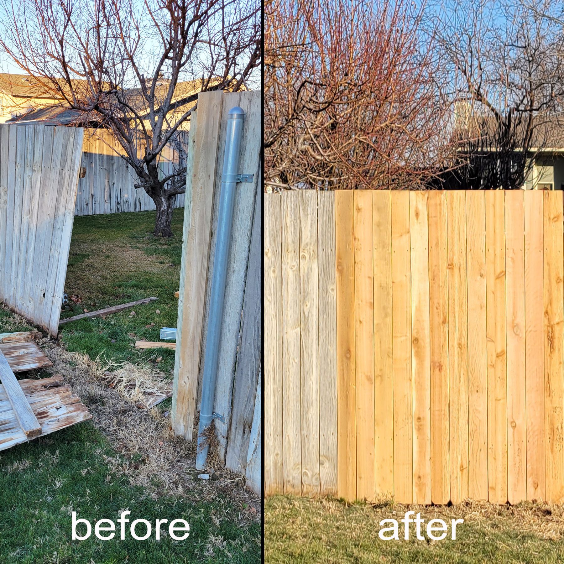 Before and after comparison of a weathered fence being replaced with new wooden panels.