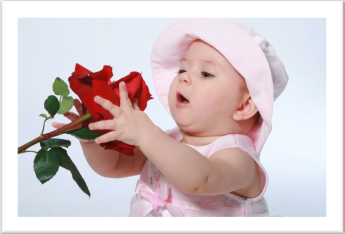 Mother's Day Rose Sale