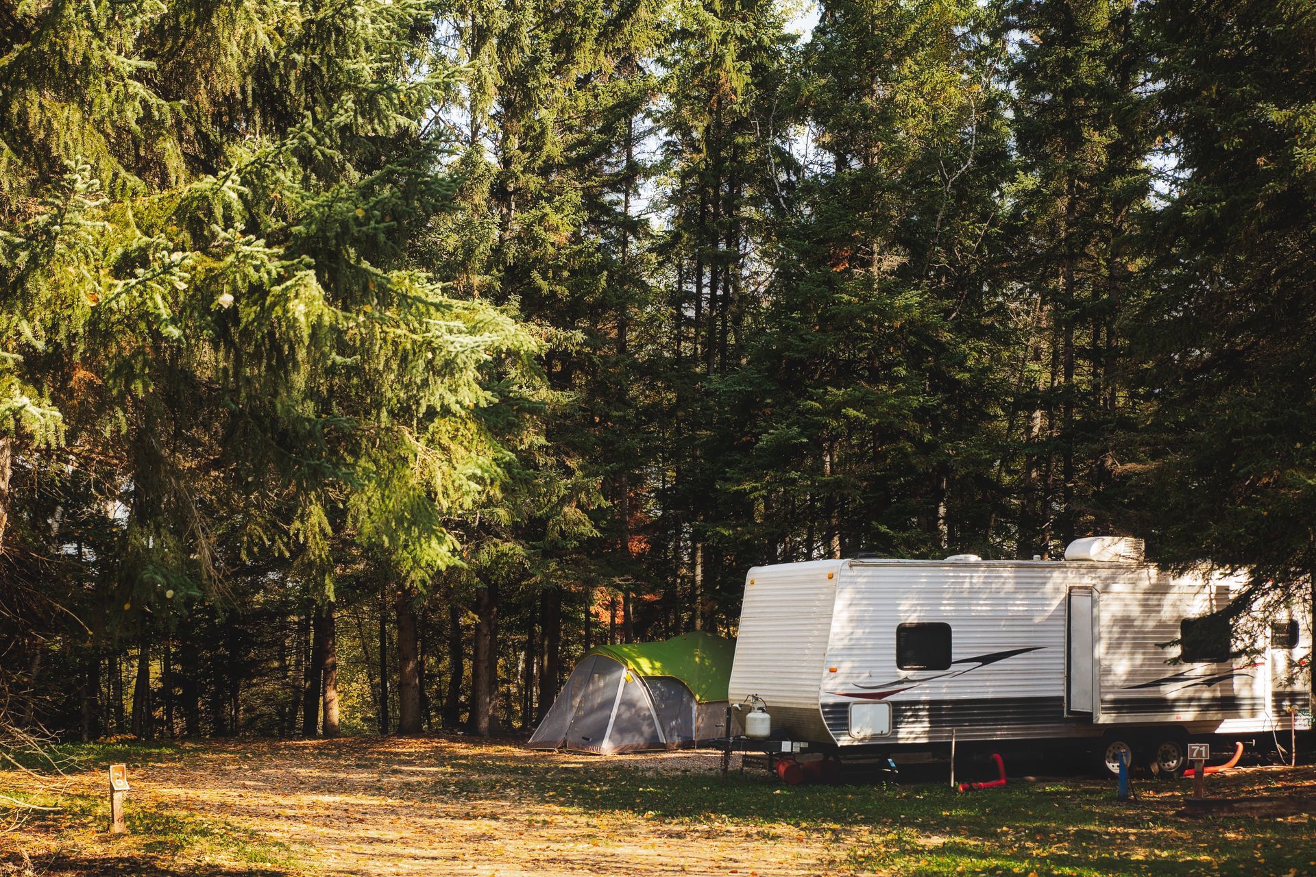 RV and tent campsite nestled in a forest with sunlight.