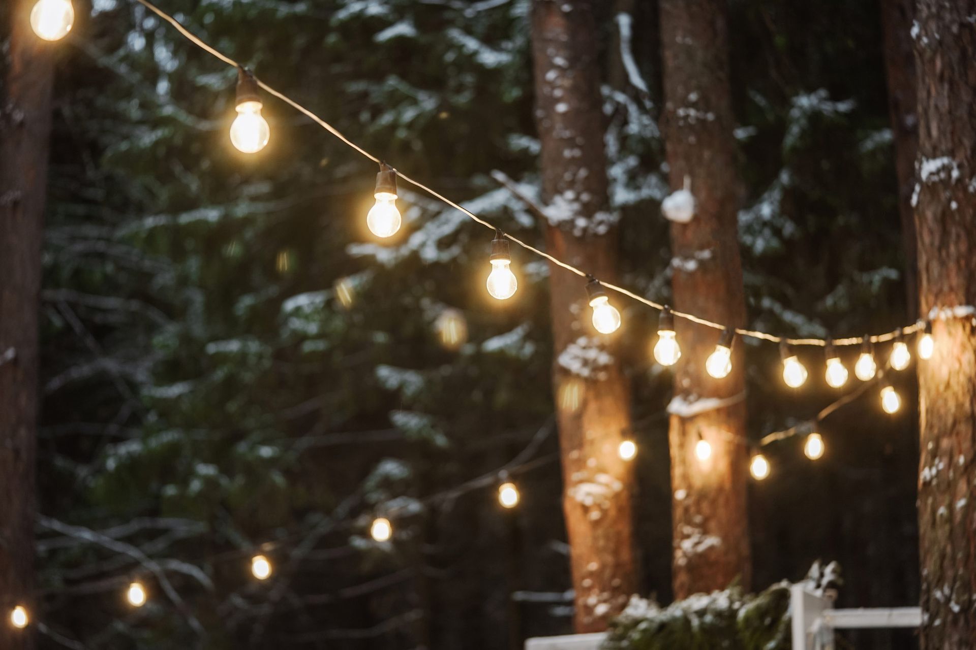 Garland of lamps in the winter forest.