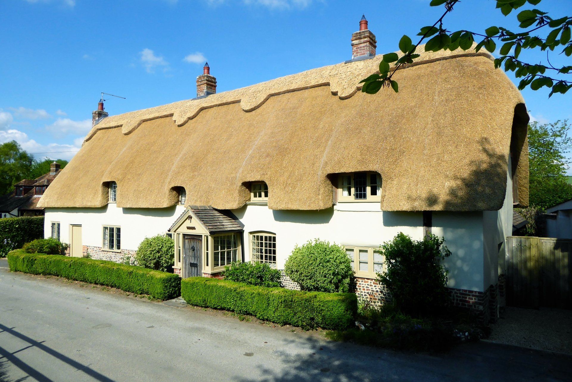thatched roof row house