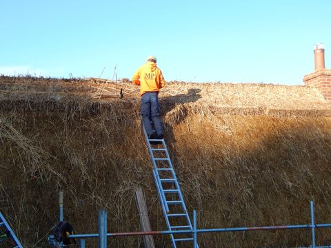 roof repairs by a professional