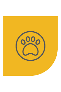 Símbolo de huella de pata en un círculo sobre un cuadrado redondeado amarillo.