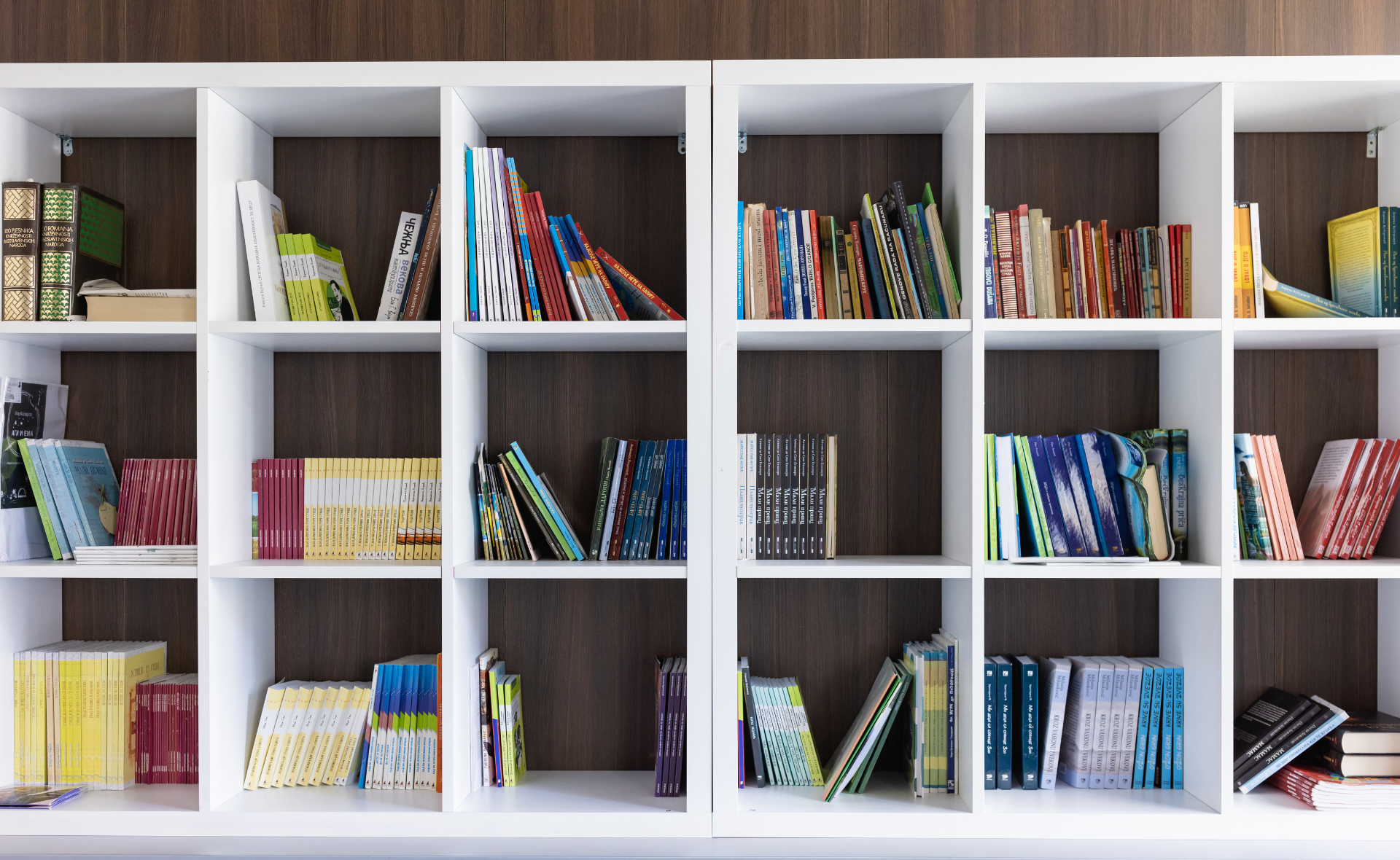 Elementary School Book Shelf