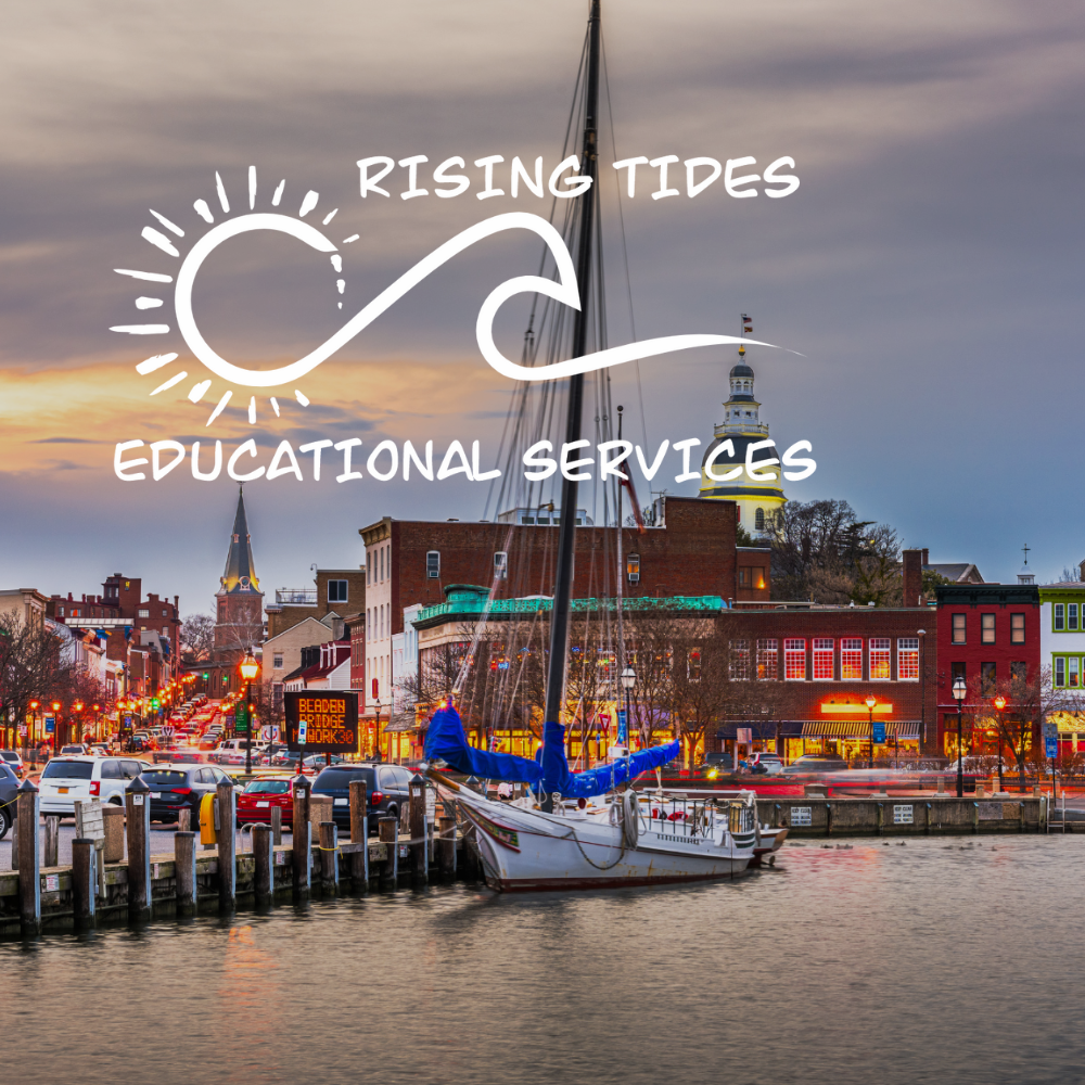 The Rising Tide Hackney Student Services | Rising Tides Educational Services