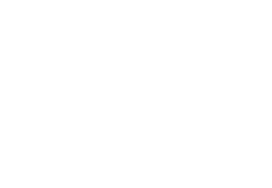 Logo for Hurtado Chiropractic: Man with highlighted spine, blue and white circular design. 