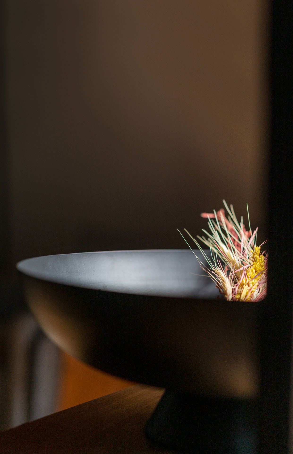 Jangal das Araucárias