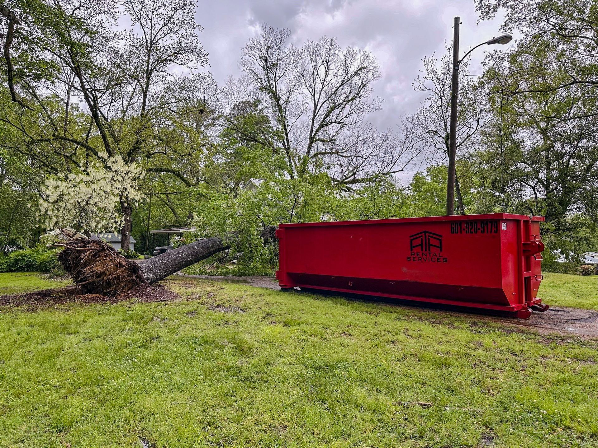 A red dumpster is sitting in the grass next to a fallen tree.