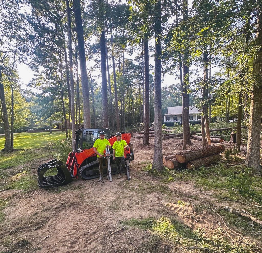 Two men are standing next to a tractor in the middle of a forest.