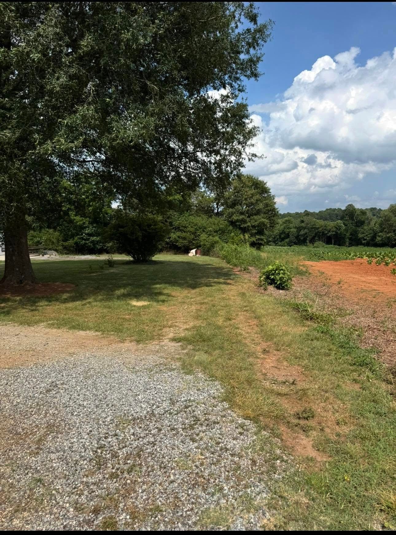 Gravel path beside a grassy field and large tree under a partly cloudy sky