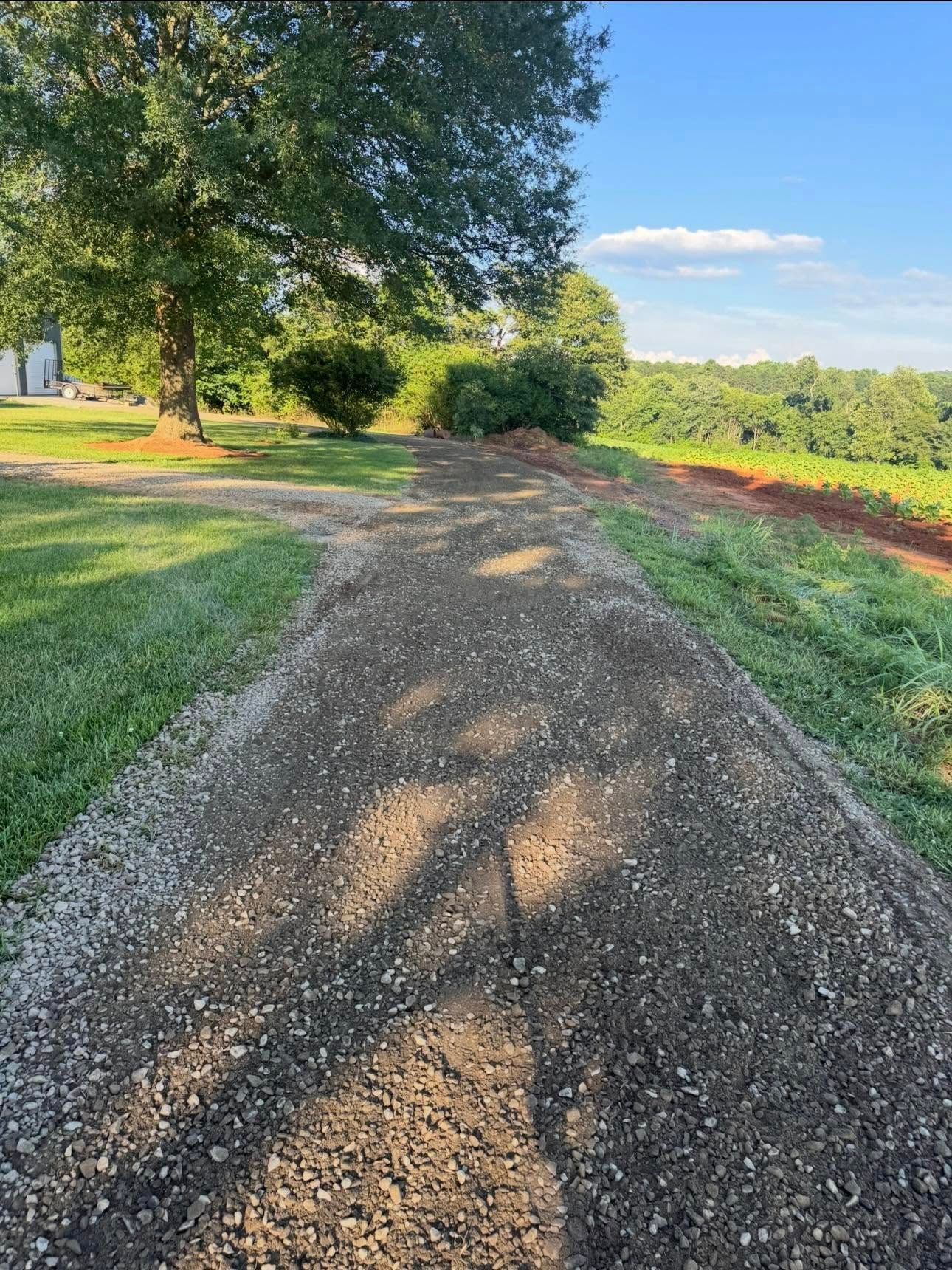 Gravel path under a large tree with green lawn and sunlit trees overlooking a distant valley