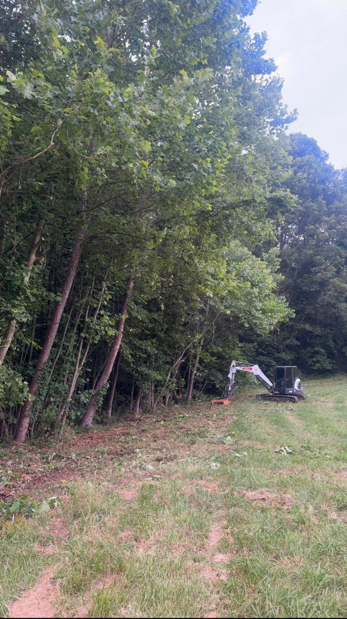 Excavator clearing a grassy path beside tall trees in a wooded area