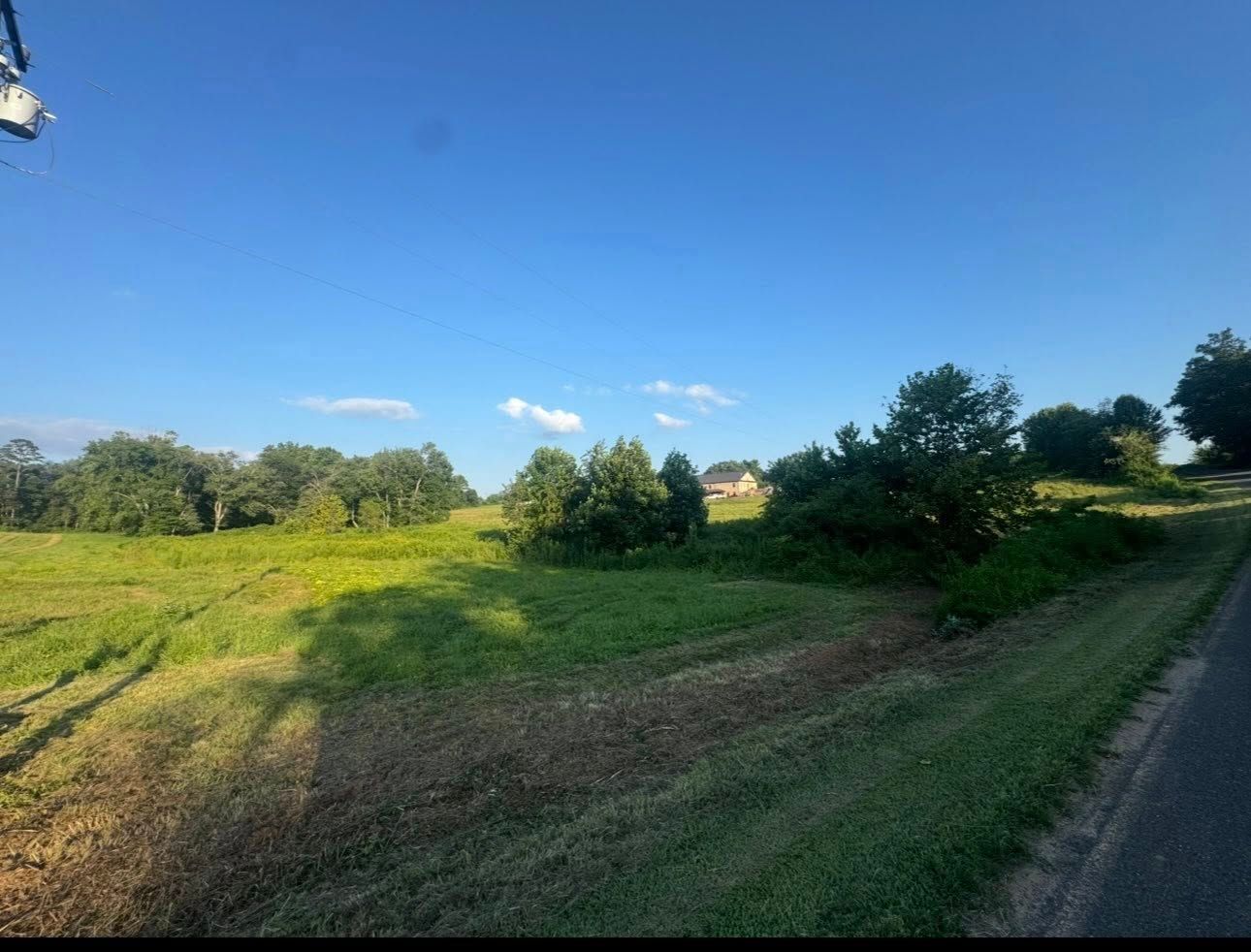 Sunlit green meadow with scattered trees under a clear blue sky, beside a dirt road