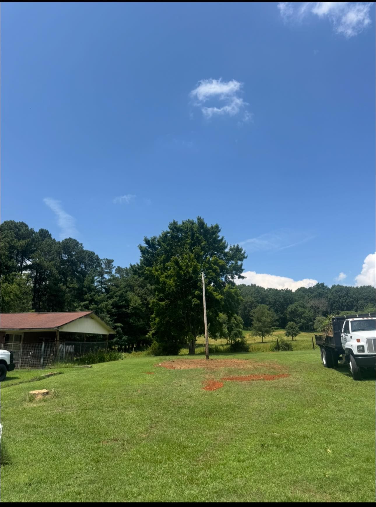 Grassy yard with a small house, trees, a utility pole, and a white truck under a blue sky