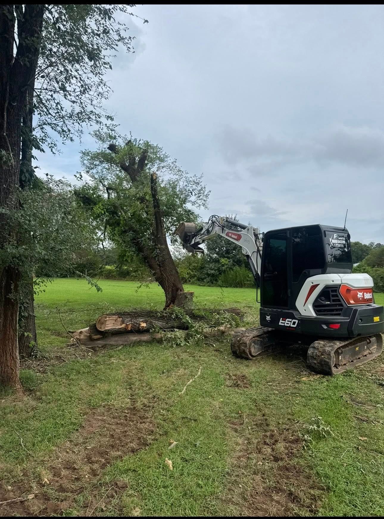 A small excavator trims a fallen tree trunk in a grassy field under cloudy skies.