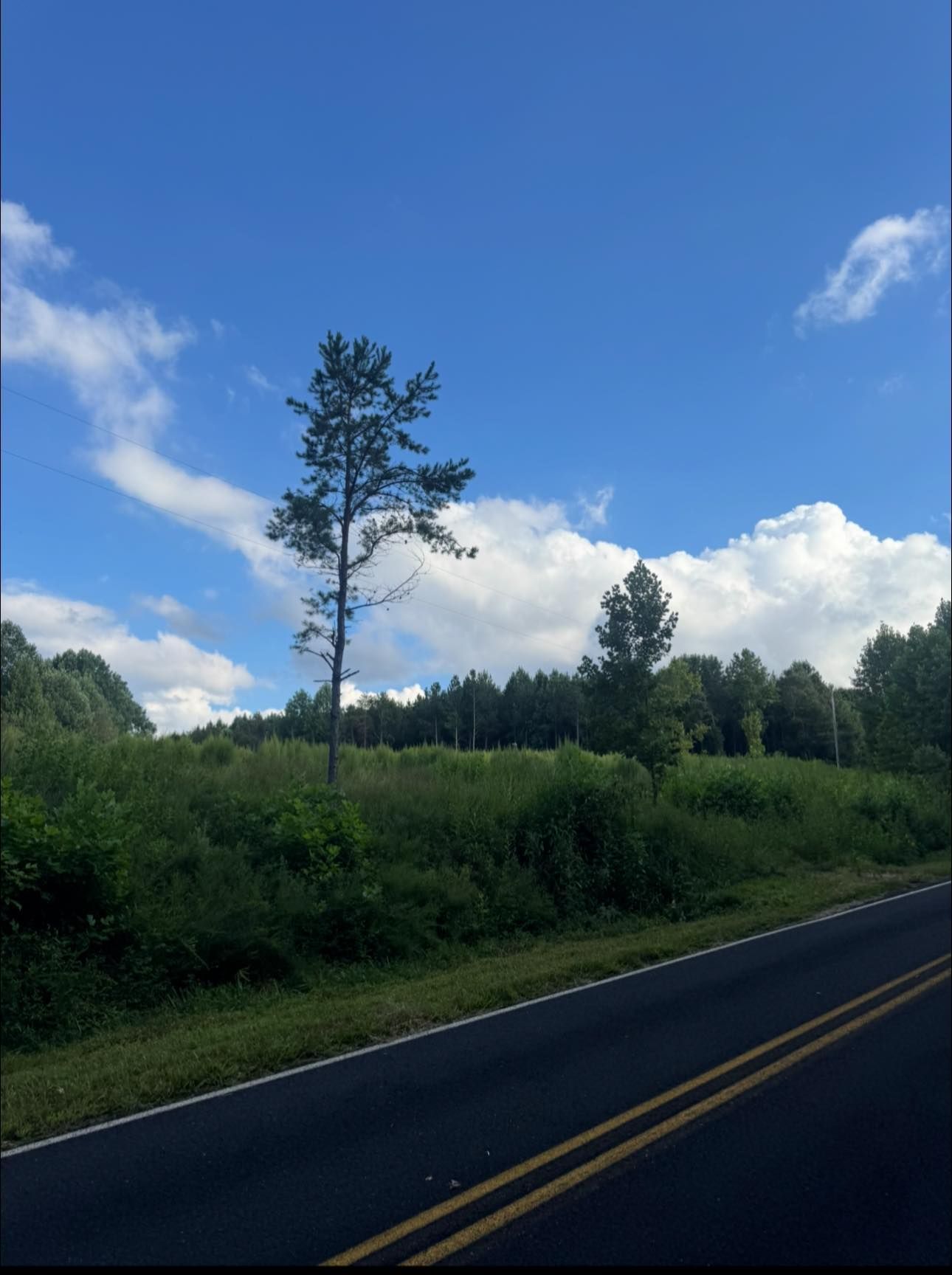 Quiet rural road beside green fields under a blue sky with scattered clouds