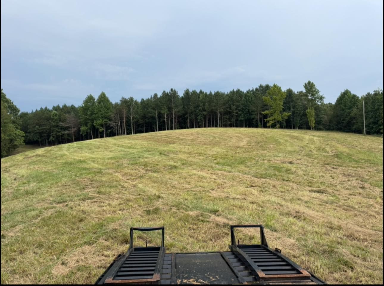 Grassy hill with a tree line under a cloudy sky, viewed from the back of a trailer.