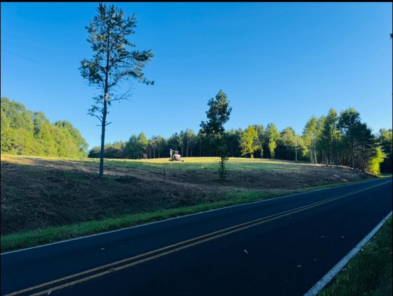 Quiet rural road beside a grassy field with trees under a clear blue sky