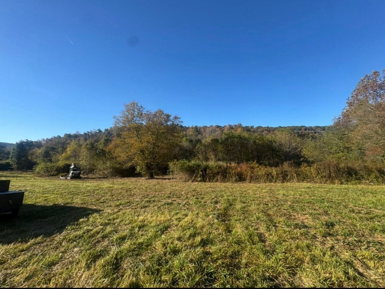 Grassy field with trees under a clear blue sky on a sunny day