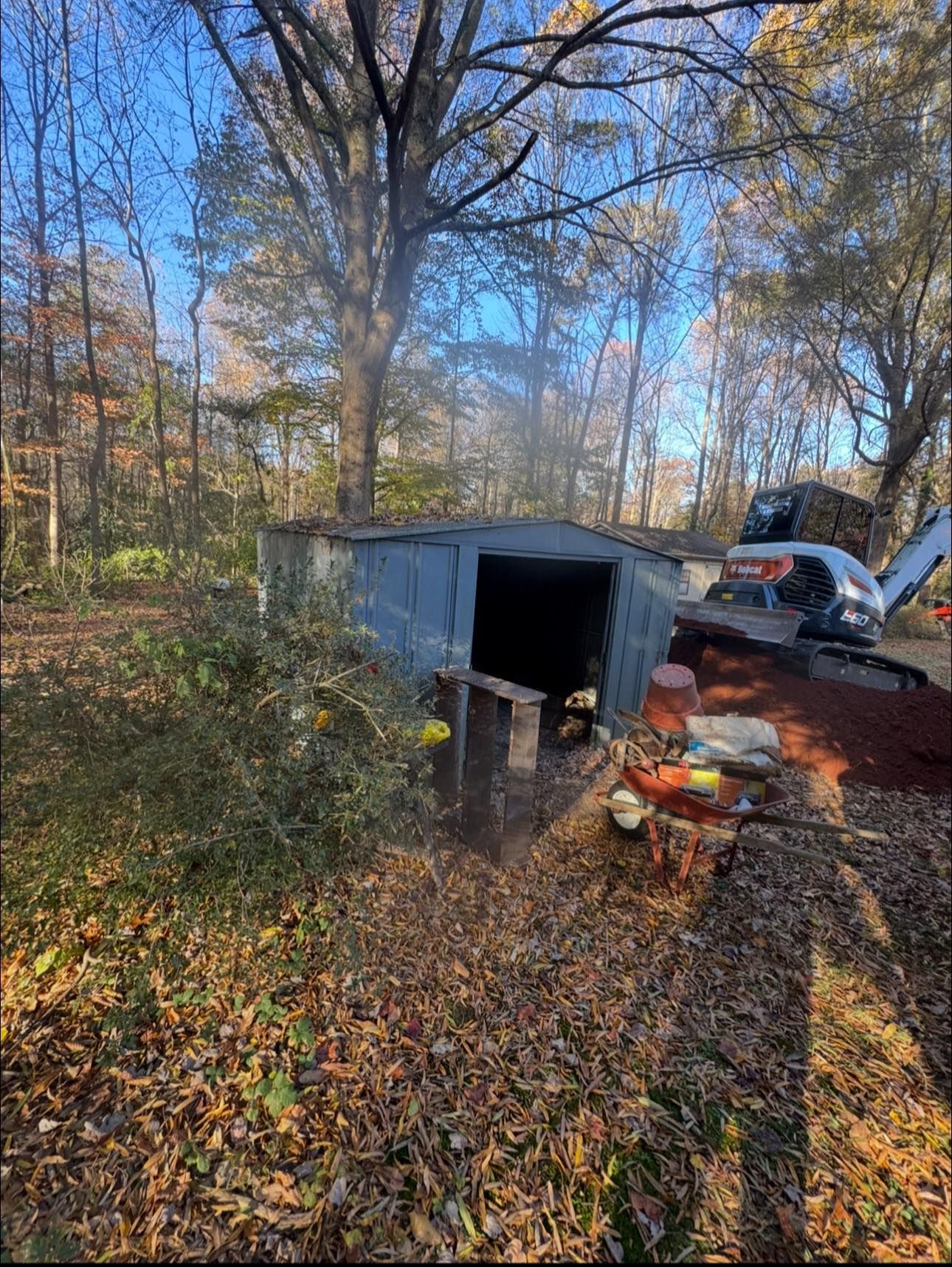Backyard shed with open door, leaves on the ground, and a car parked beside a wooded driveway.