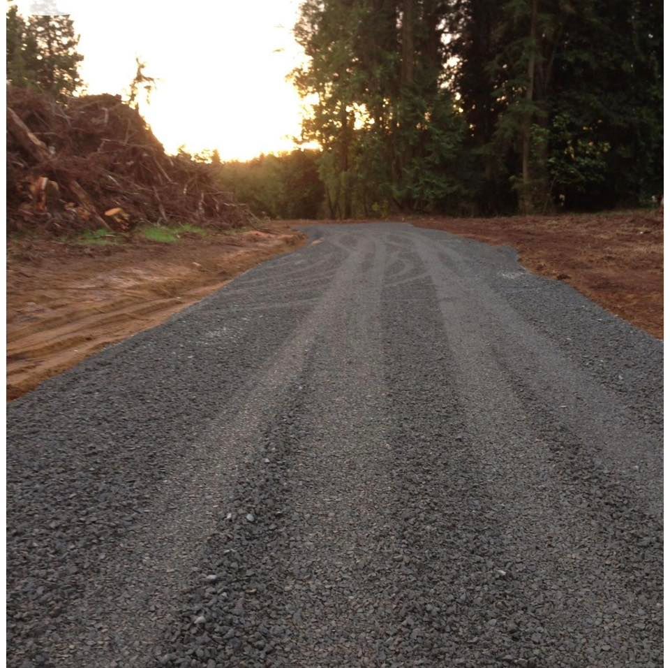 Gravel road curving through a forest at sunset, with trees and cut brush on both sides.