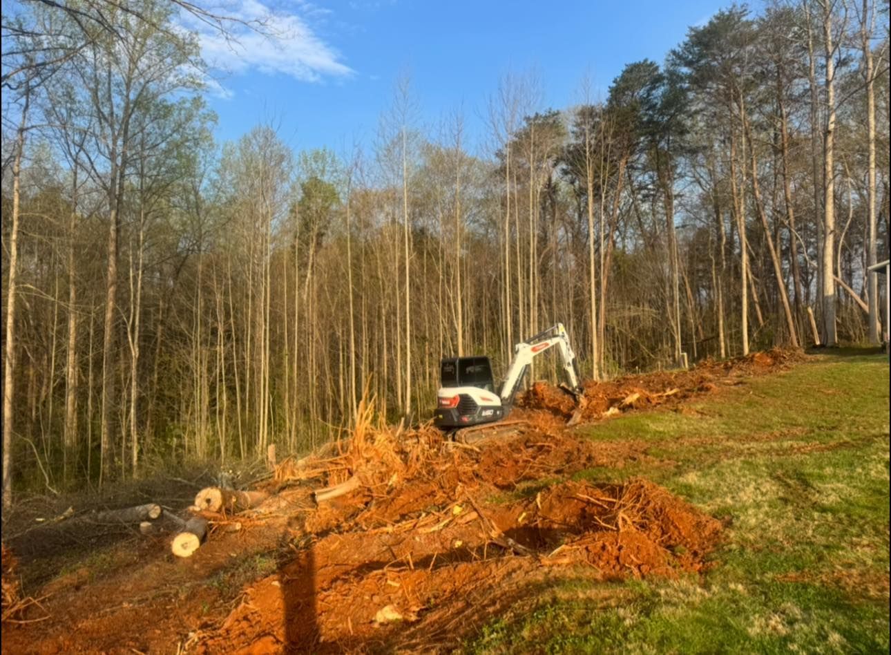 Excavator clearing a wooded hillside, with logs and orange soil under a blue sky