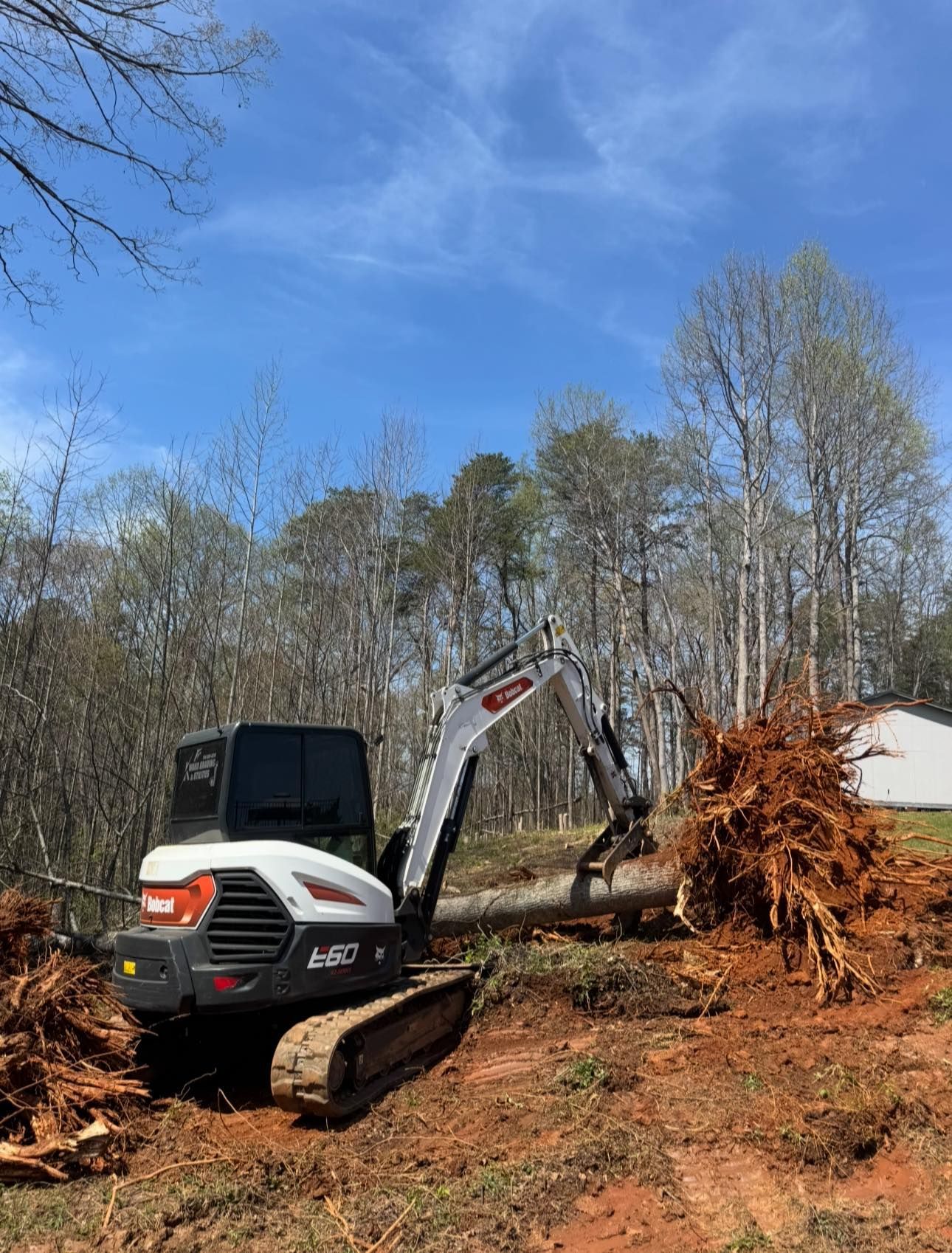 Excavator clearing a wooded lot, with uprooted tree debris and a small white building in the background.