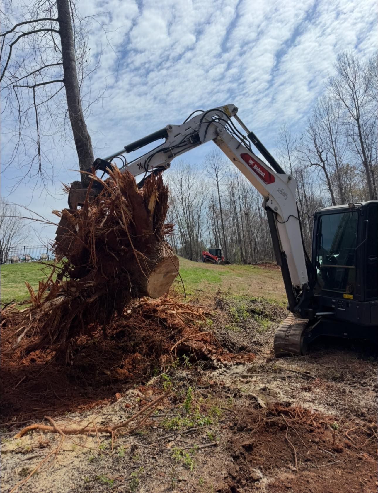 Excavator uprooting a large tree stump in a wooded field under a cloudy sky