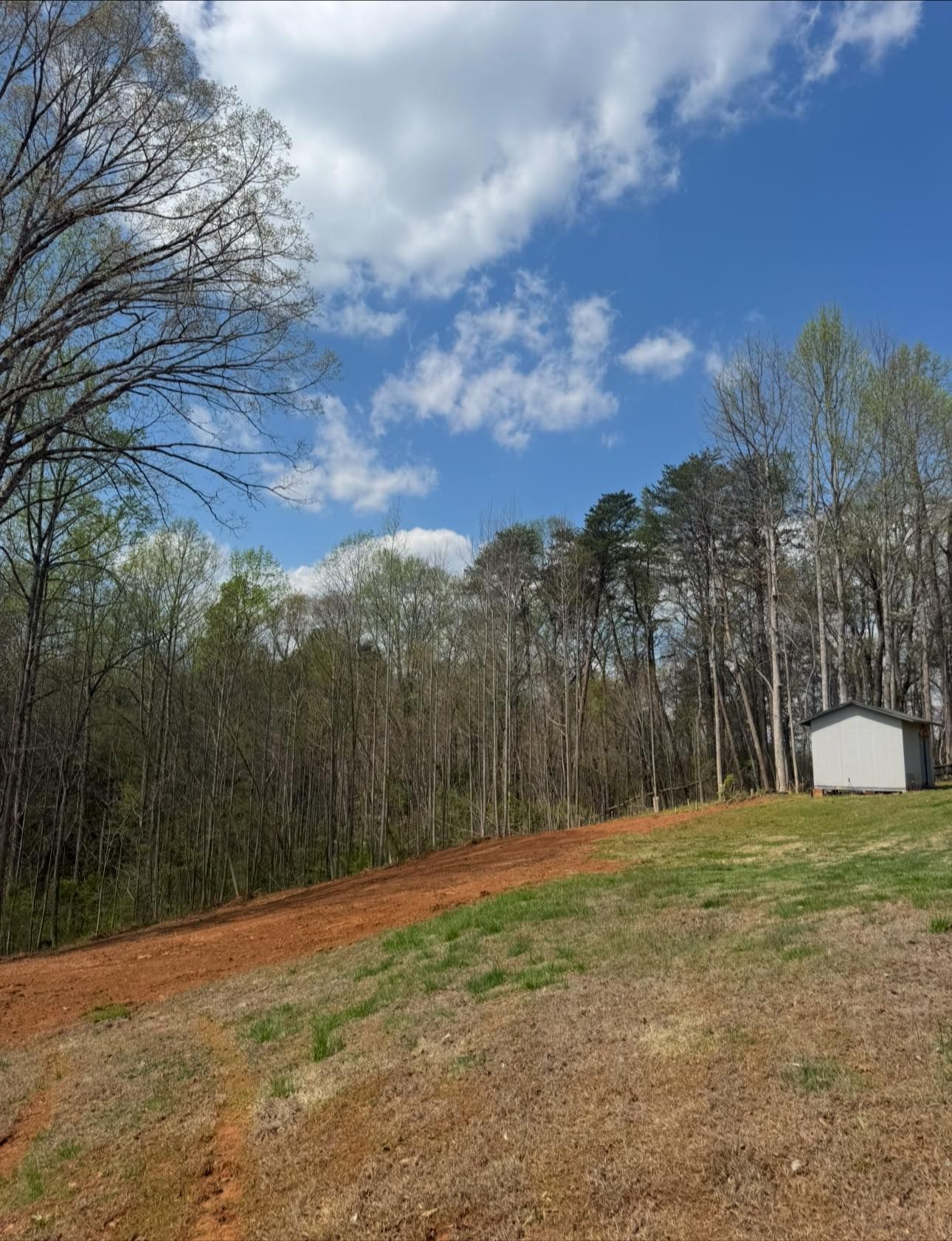 Wooded hillside with a dirt path, cloudy blue sky, and a small white shed near the trees.