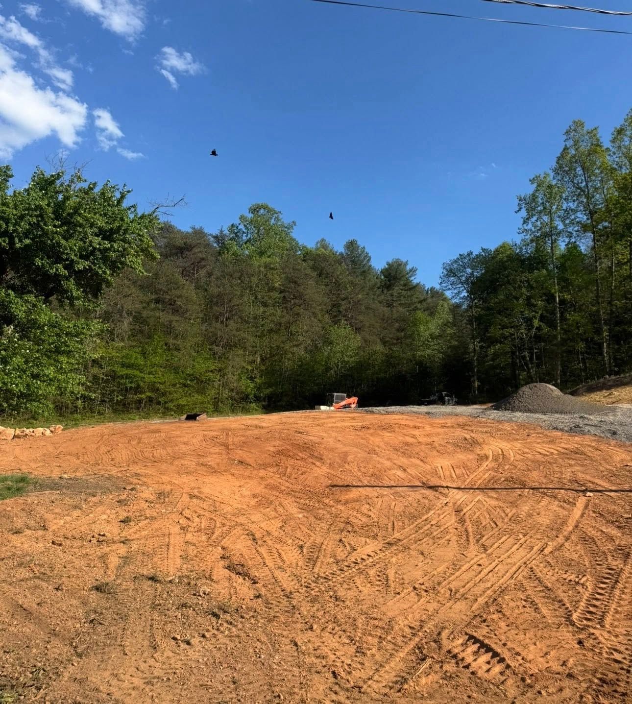 Freshly cleared dirt lot beside a wooded area under a bright blue sky
