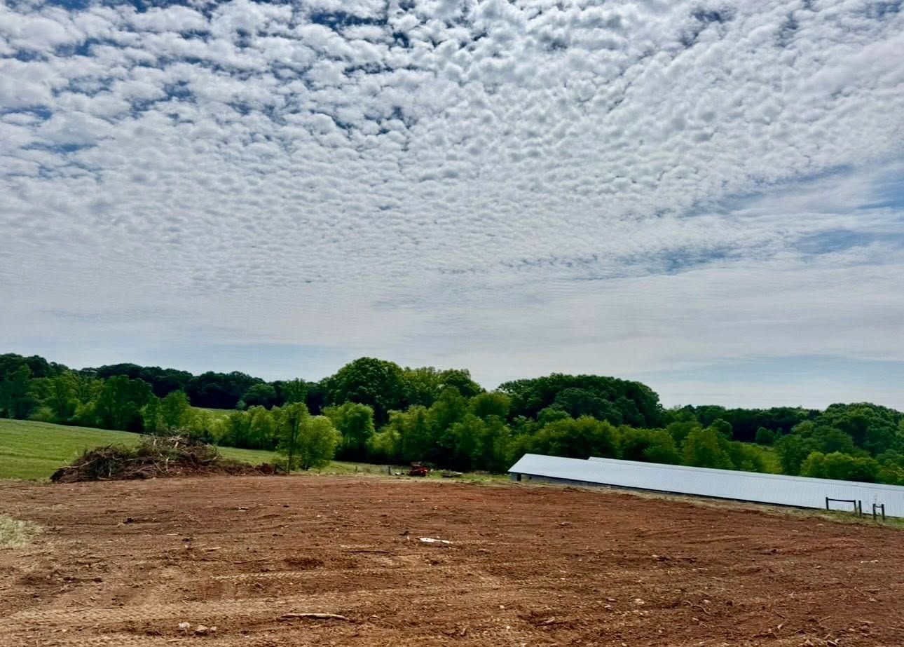 Bare dirt lot beside a pond, with green trees under a textured cloudy sky